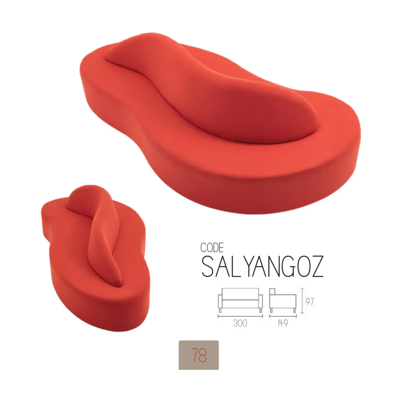 AKY-P-SALYANGOZ