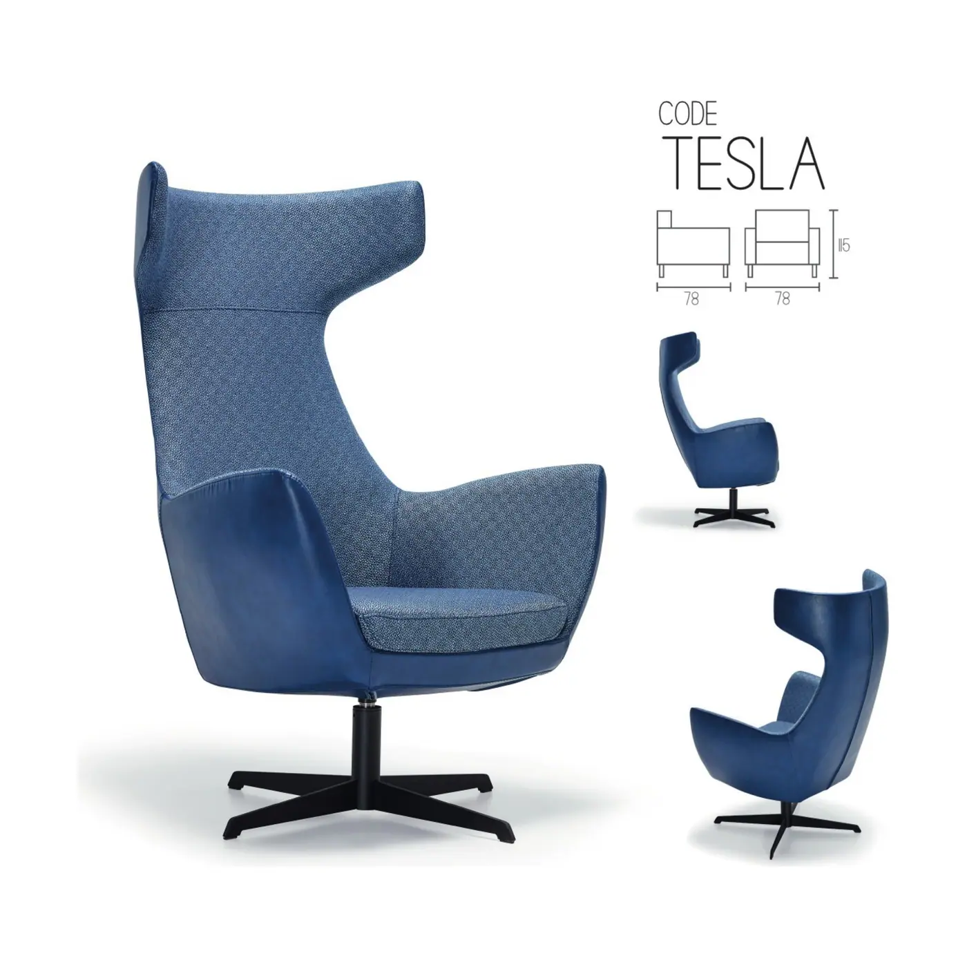 AKY-P-TESLA